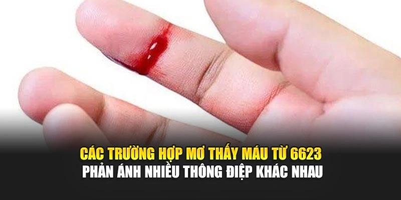 Các trường hợp mơ thấy máu từ 6623 phản ánh nhiều thông điệp khác nhau Các trường hợp mơ thấy máu từ 6623 phản ánh nhiều thông điệp khác nhau