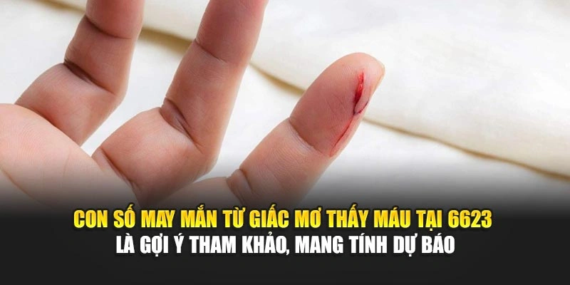 Con số may mắn từ giấc mơ thấy máu tại 6623 là gợi ý tham khảo, mang tính dự báo Con số may mắn từ giấc mơ thấy máu tại 6623 là gợi ý tham khảo, mang tính dự báo