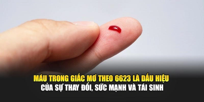 Máu trong giấc mơ theo 6623 là dấu hiệu của sự thay đổi, sức mạnh và tái sinh Máu trong giấc mơ theo 6623 là dấu hiệu của sự thay đổi, sức mạnh và tái sinh