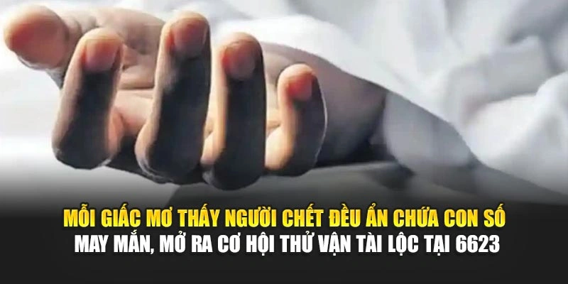 Mỗi giấc mơ thấy người chết đều ẩn chứa con số may mắn, mở ra cơ hội thử vận tài lộc tại 6623 Mỗi giấc mơ thấy người chết đều ẩn chứa con số may mắn, mở ra cơ hội thử vận tài lộc tại 6623