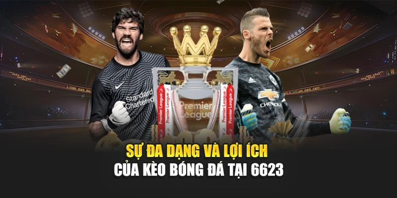 Sự đa dạng và lợi ích của kèo bóng đá tại 6623 Sự đa dạng và lợi ích của kèo bóng đá tại 6623