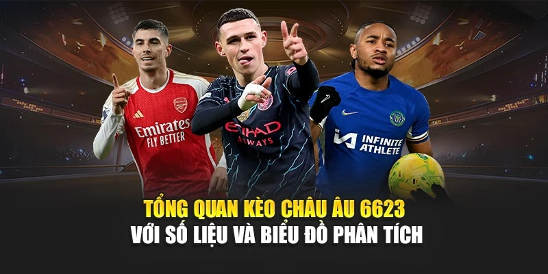 Tổng quan kèo châu Âu 6623 với số liệu và biểu đồ phân tích Tổng quan kèo châu Âu 6623 với số liệu và biểu đồ phân tích